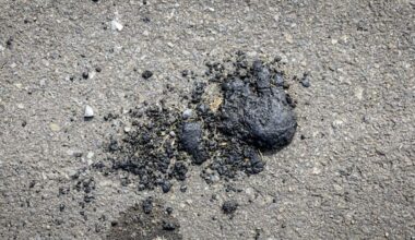 'Tar' chunks on highways identified – source remains a mystery