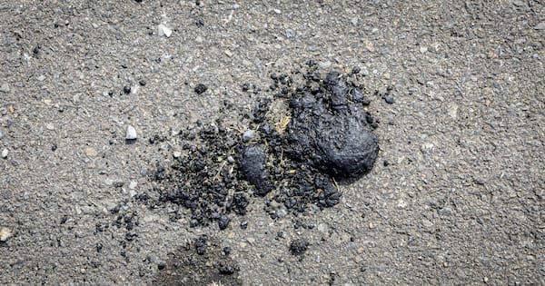 'Tar' chunks on highways identified – source remains a mystery