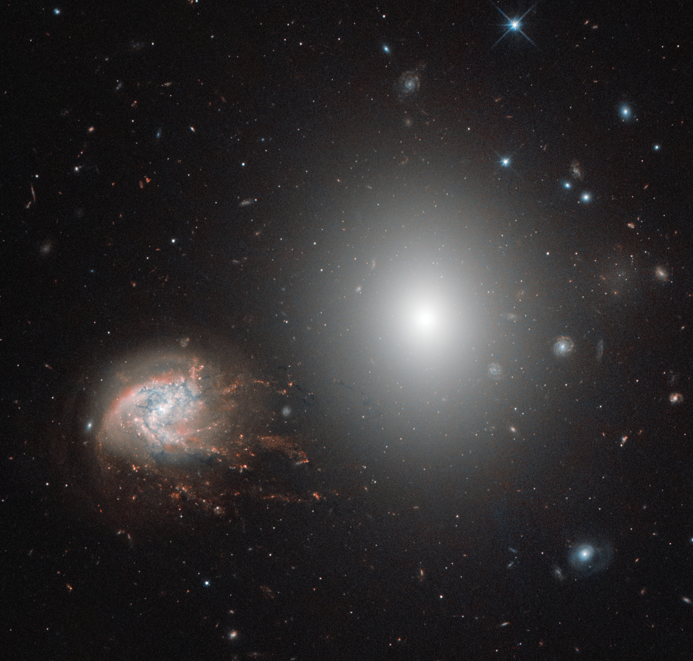 Two galaxies appear close together in space; one is bright and elliptical, while the other displays spiral structure with blue star-forming regions and reddish dust lanes, reminiscent of features seen in jellyfish galaxies.