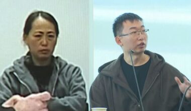 Mother and son guilty of attempting to illegally export pounamu