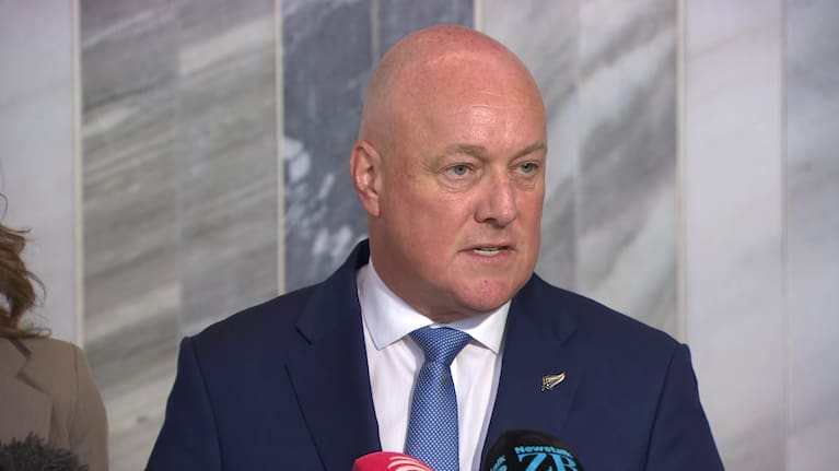 Prime Minister Christopher Luxon.