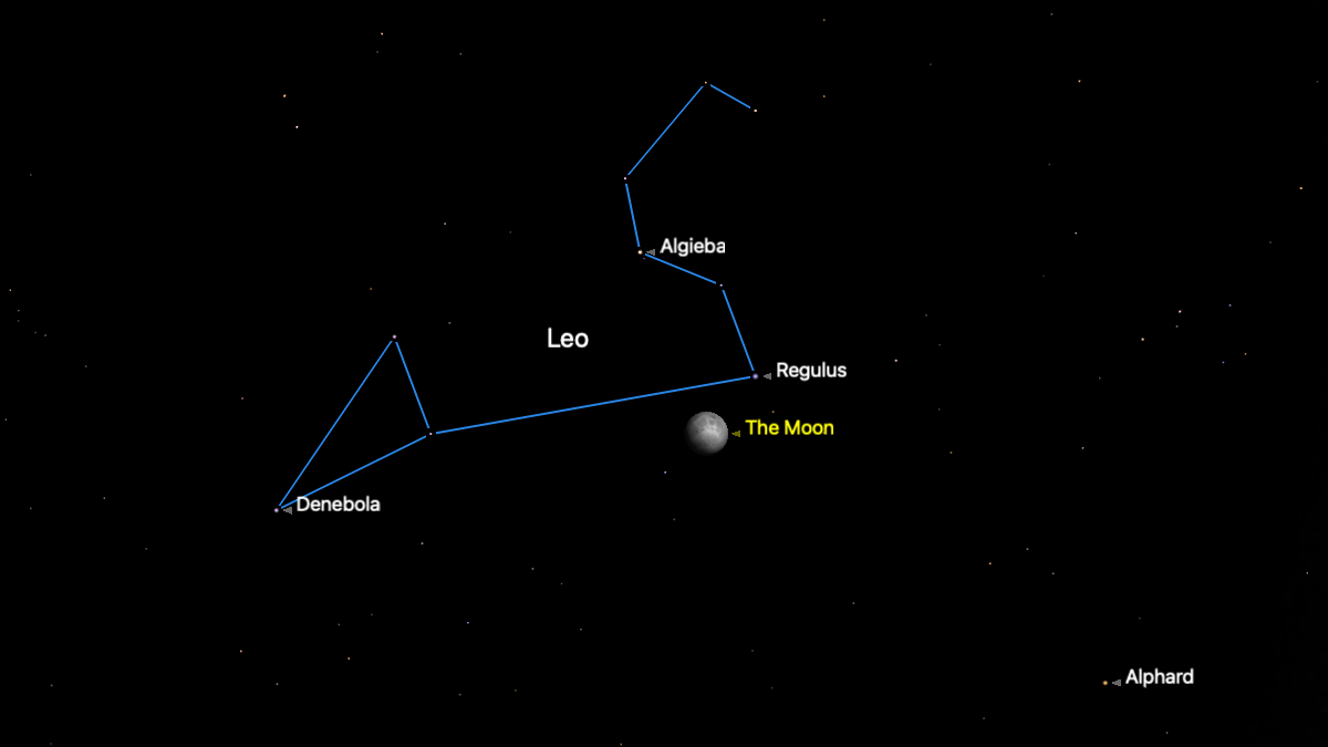 The moon is shown in a black star below the stars of the constellation Regulus, which are connected by a blue line.