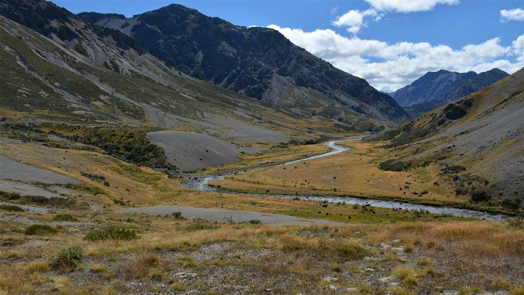 Media release 23 March 2026