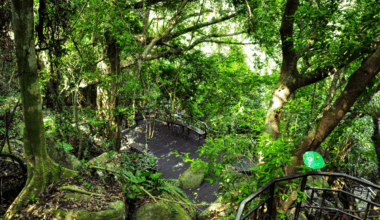 Rare Species Makes Unexpected Appearance After 40 Year Absence