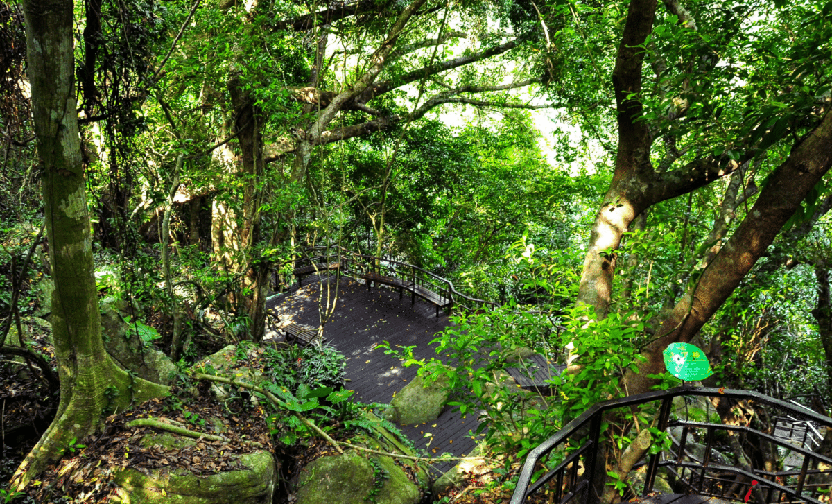 Rare Species Makes Unexpected Appearance After 40 Year Absence