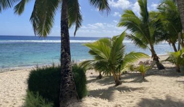 NZ woman drowns while snorkelling in Rarotonga