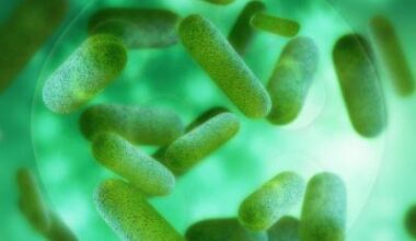 severe infections may raise dementia risk • healthcare-in-europe.com