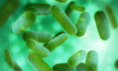 severe infections may raise dementia risk • healthcare-in-europe.com