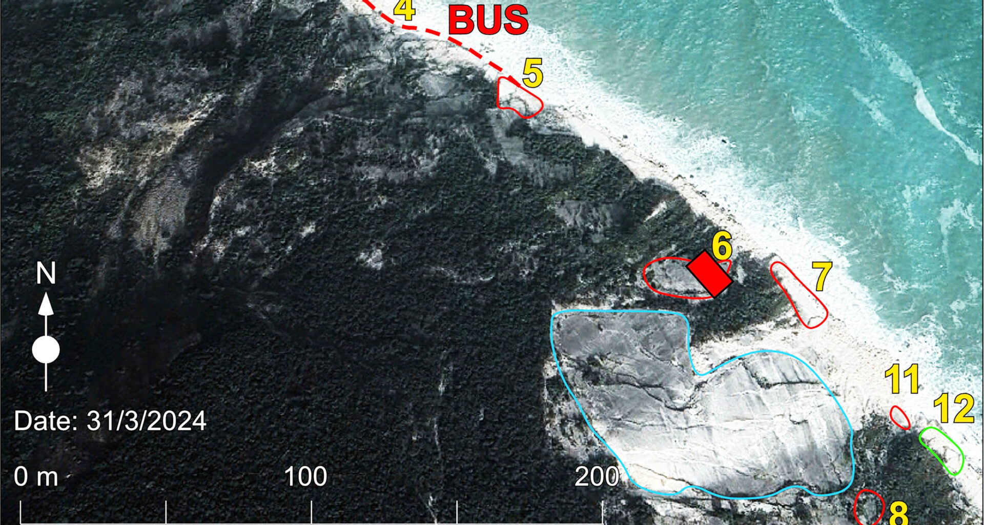 Hikers find sea turtle stampede tracks dating back 80 million years