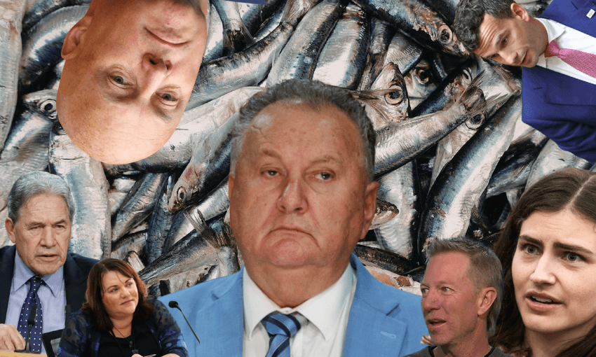 Fishing fight: Everyone in New Zealand vs Shane Jones