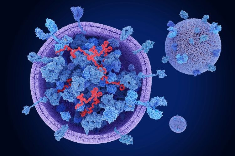 exosomes cell therapy