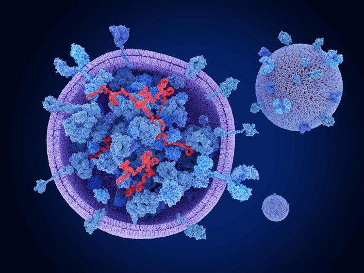 Nanoparticle-exosome innovation could enhance cell therapy manufacturing
