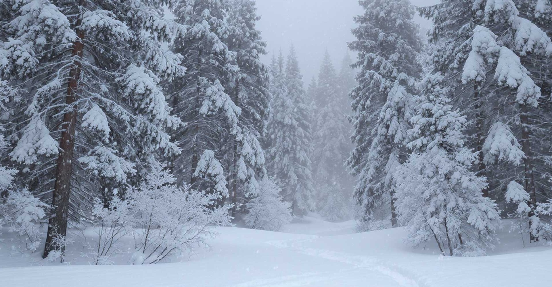 bring AI to data, not vice versa • The Register