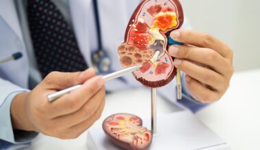 Gut microbes found to drive chronic kidney disease