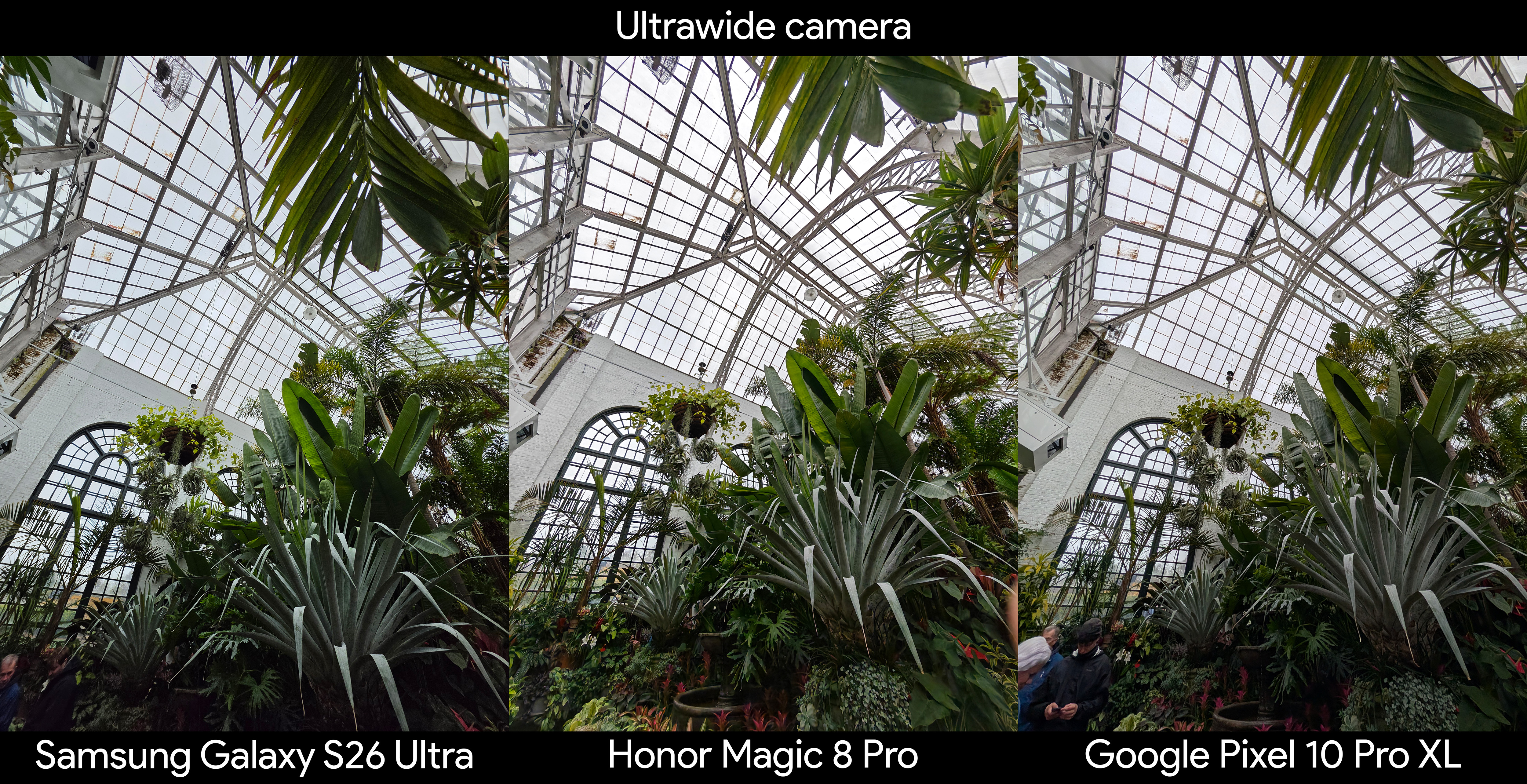 Samsung Galaxy S26 Ultra ultrawide camera sample