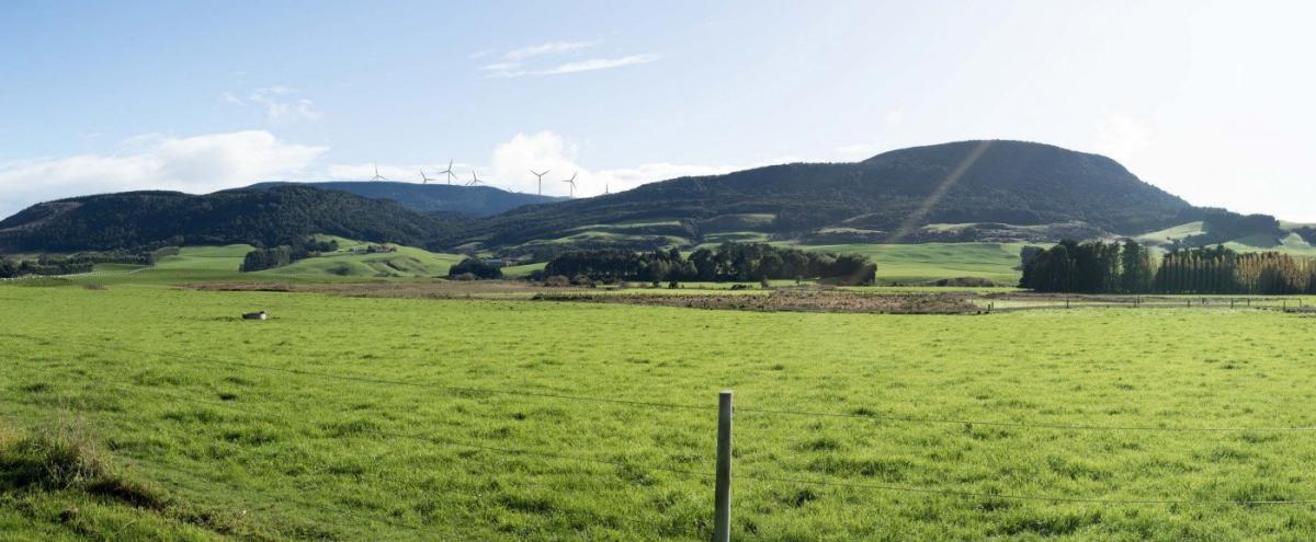 Southland wind farm gets draft approval