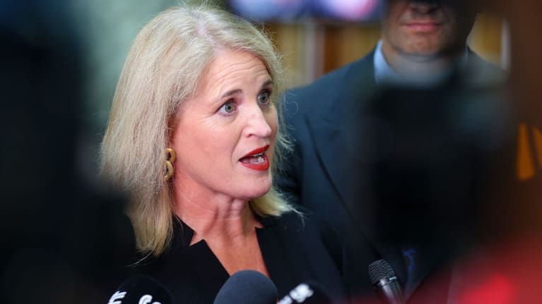 Social Development and Employment Minister Louise Upston (file image).