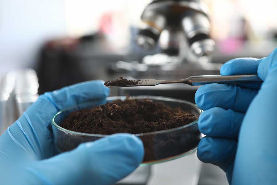 a highly focused image of a petri dish full of soil is held by two latex gloved hands