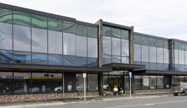 South Dunedin street attack caught on CCTV