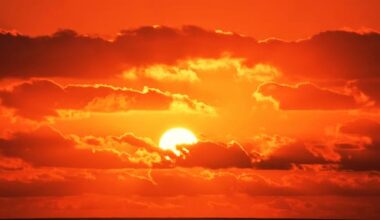 Earth’s climate in 'state of emergency', UN warns as warming accelerates