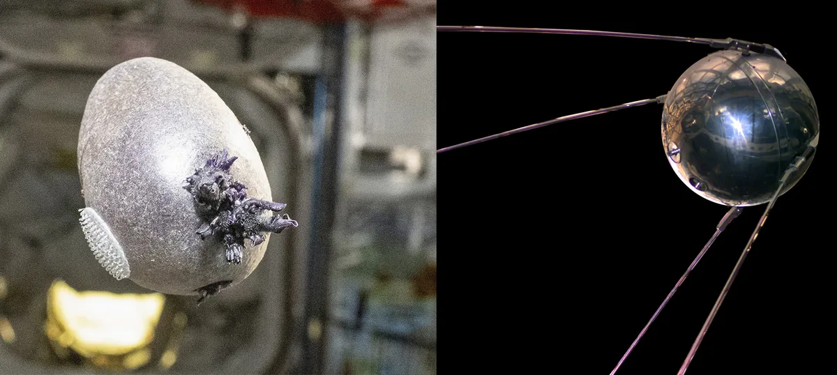Spot the difference? Pettit's 'Spudnik-1' potato, vs the Soviet Union's Sputnik-1 artificial satellite. Credit: Don Pettit, NSSDC, NASA