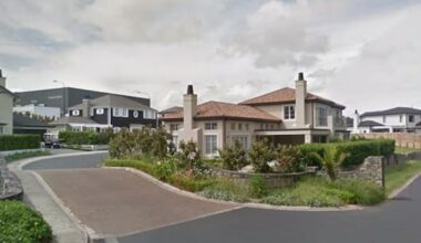 Police allege high-speed drunken motorist fled up a dead-end street