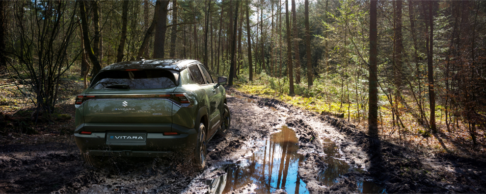 Suzuki e Vitara.