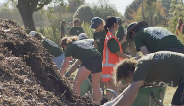 Student Volunteer Army thriving 15 years on from quakes