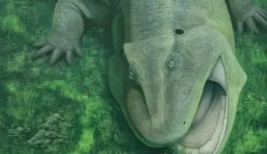 A Twisted Fossil Jaw Reveals a Strange 275-Million-Year-Old Animal