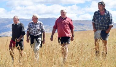 ‘We’re stuffed’ if mine doesn’t go ahead