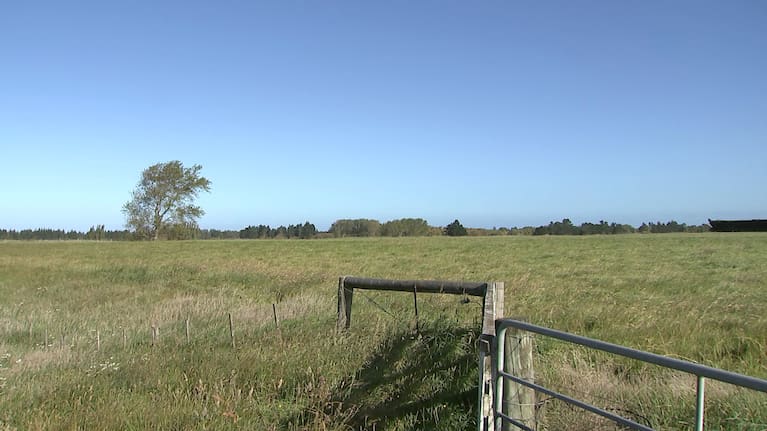The council is working on a proposal to move Amberley Beach residents to a piece of land further up the coast.
