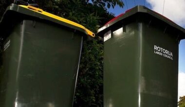 Residents rally against Rotorua's fortnightly bin change