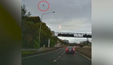 Thrown beer bottle strikes car on Auckland motorway