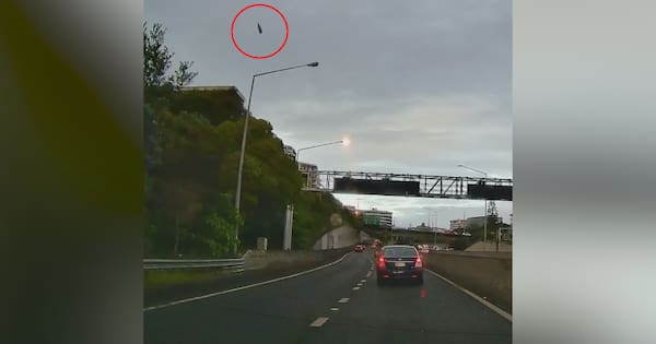 Thrown beer bottle strikes car on Auckland motorway