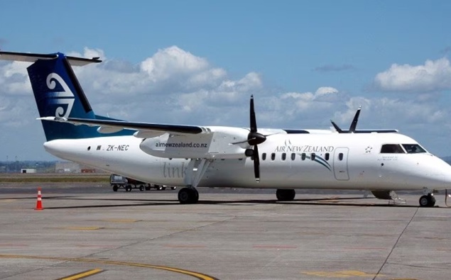 Regional mayors warn Air New Zealand flight cuts threaten lifeline routes