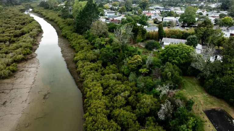 The Momutu Stream. Photo: RNZ / Marika Khabazi