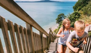 Auckland's 'stairs of doom' face uncertain future