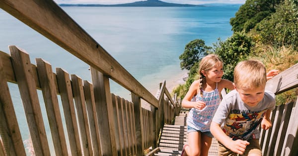 Auckland's 'stairs of doom' face uncertain future