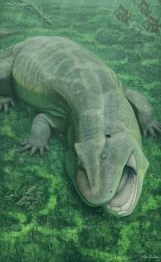 A dinosaur-like amphibian with a wide open mouth on lush green grass.