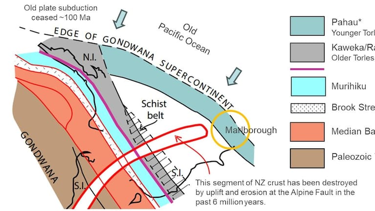 This map shows where Gondwana met the old Pacific tectonic plate, right where Marlborough is today.