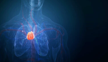 The Thymus Plays a Part in Adult Cancer Risk and Treatment Response