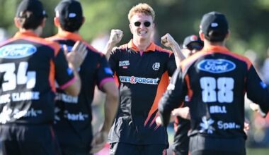 NZ Cricket pick franchise league as preferred domestic T20 format