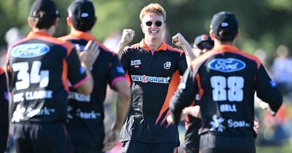 NZ Cricket pick franchise league as preferred domestic T20 format