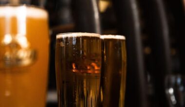 Southland councillors ignore Health NZ advice on alcohol trading hours