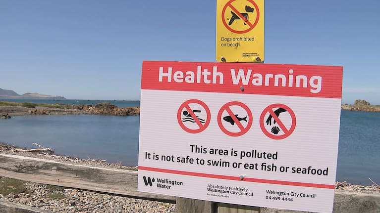 The first report into the wastewater plant failure has highlighted a possible pipeline fault.   