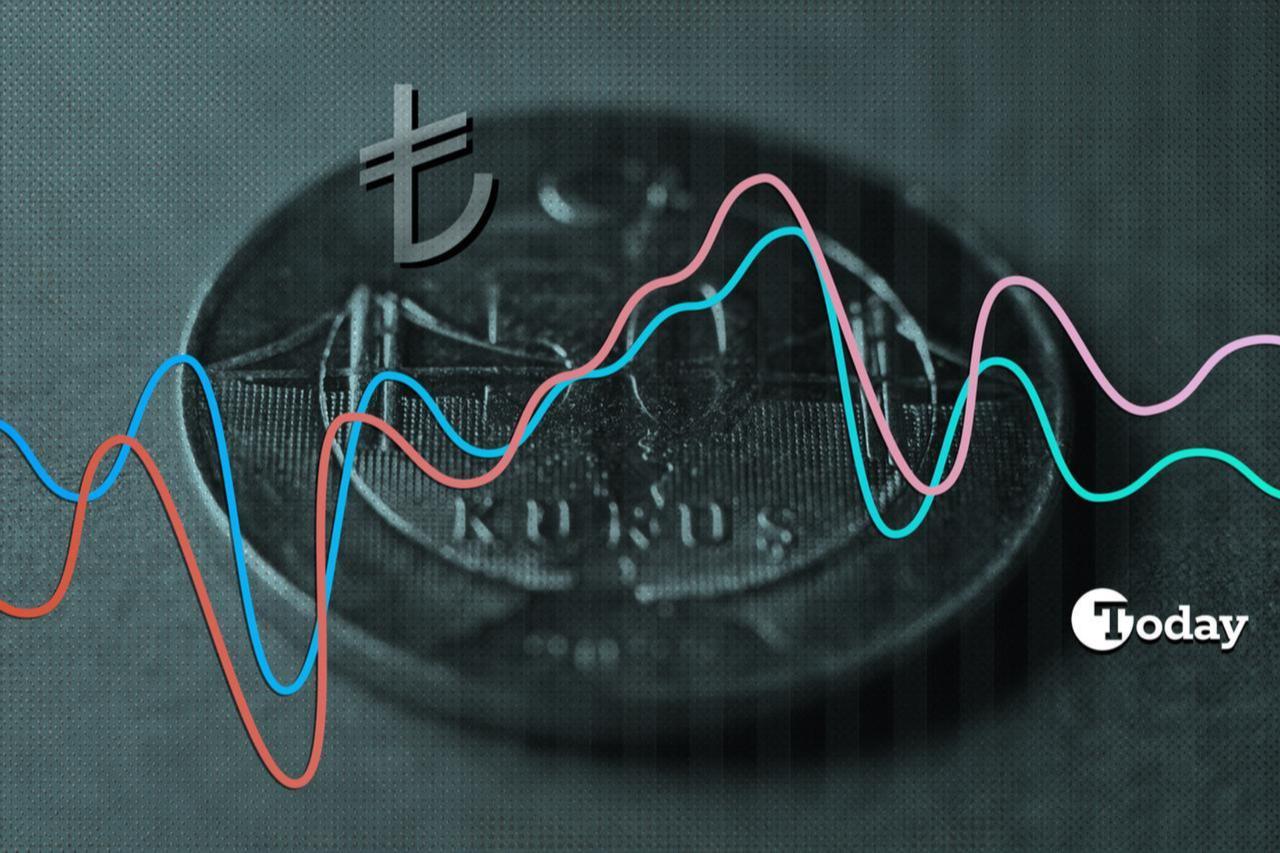 Illustrative image shows the Turkish lira symbol over a coin with fluctuating trend lines. (Collage by Türkiye Today)