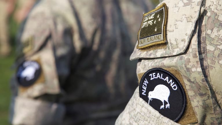 Two Defence Force staff (file image).