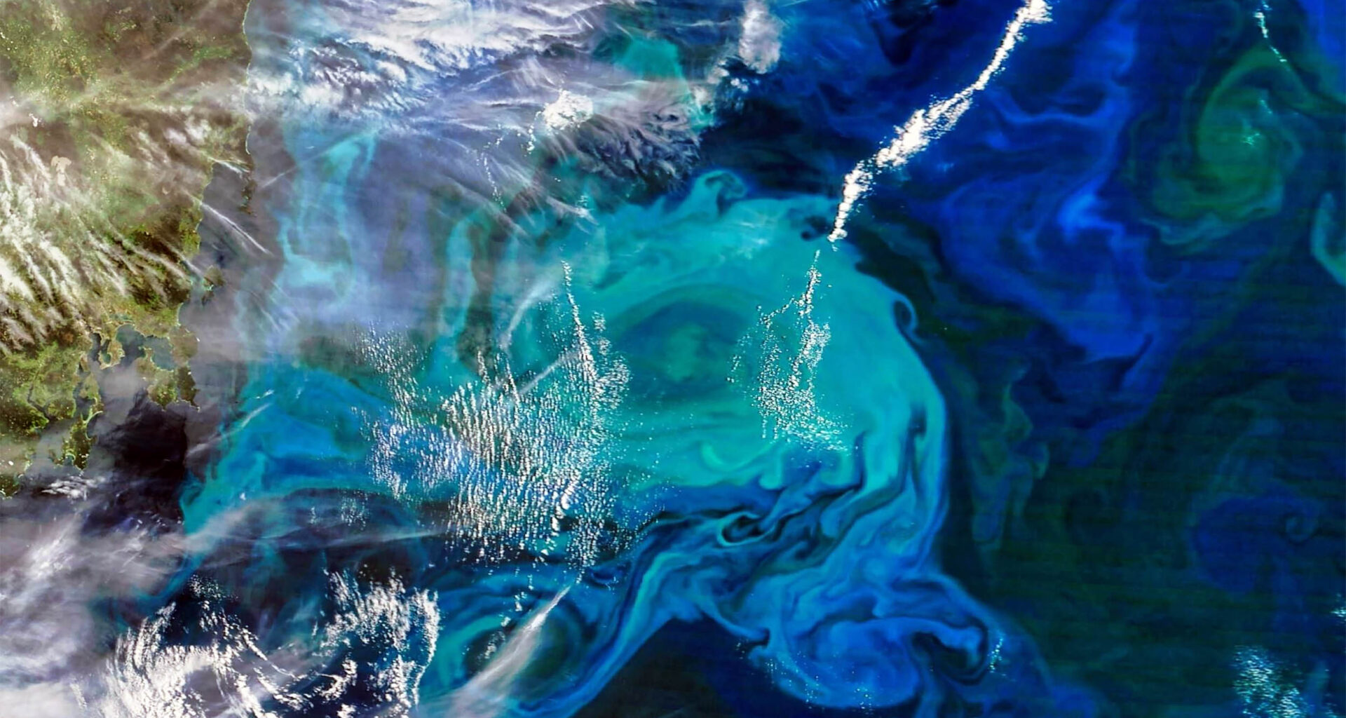 Underwater Antarctic earthquakes fuel explosions of surface life