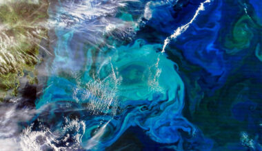 Underwater Antarctic earthquakes fuel explosions of surface life