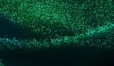 One New Zealand Enters a Commercial Agreement to Launch Network Authentication APIs with Shush